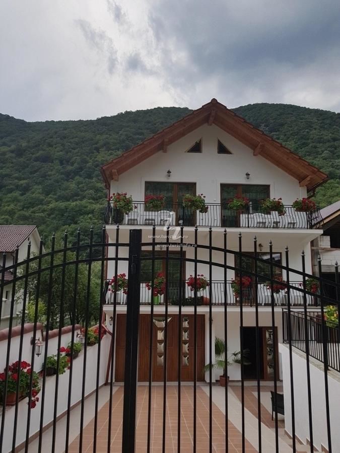 Проживание в семье Casa Mimi Бэиле-Еркулане-16