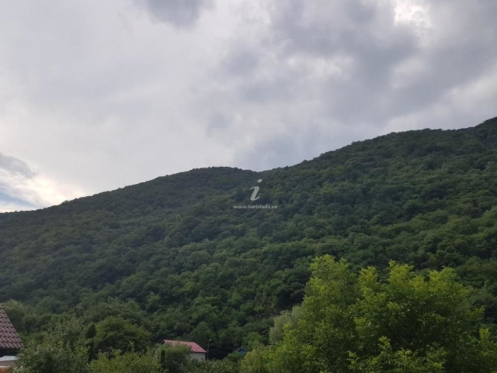 Проживание в семье Casa Mimi Бэиле-Еркулане-17