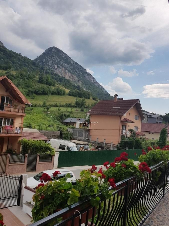 Проживание в семье Casa Mimi Бэиле-Еркулане-18
