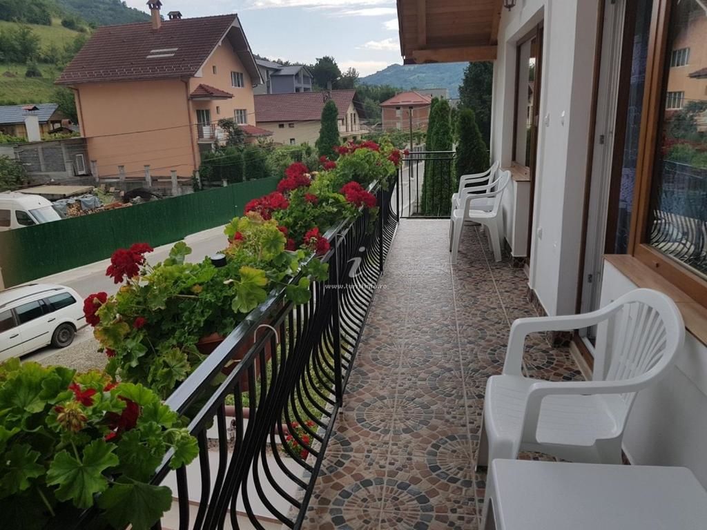 Проживание в семье Casa Mimi Бэиле-Еркулане-19
