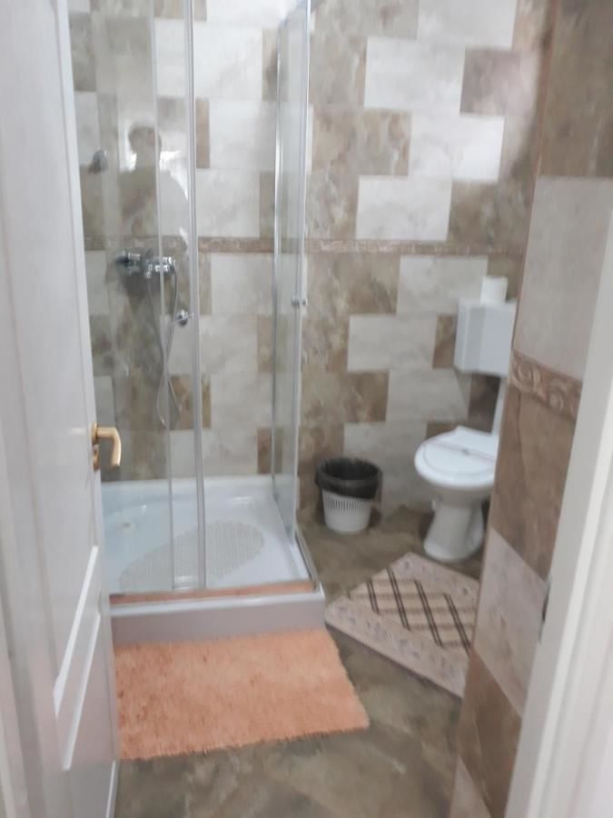 Проживание в семье Casa Mimi Бэиле-Еркулане-9