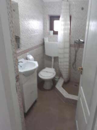 Проживание в семье Casa Mimi Бэиле-Еркулане-6